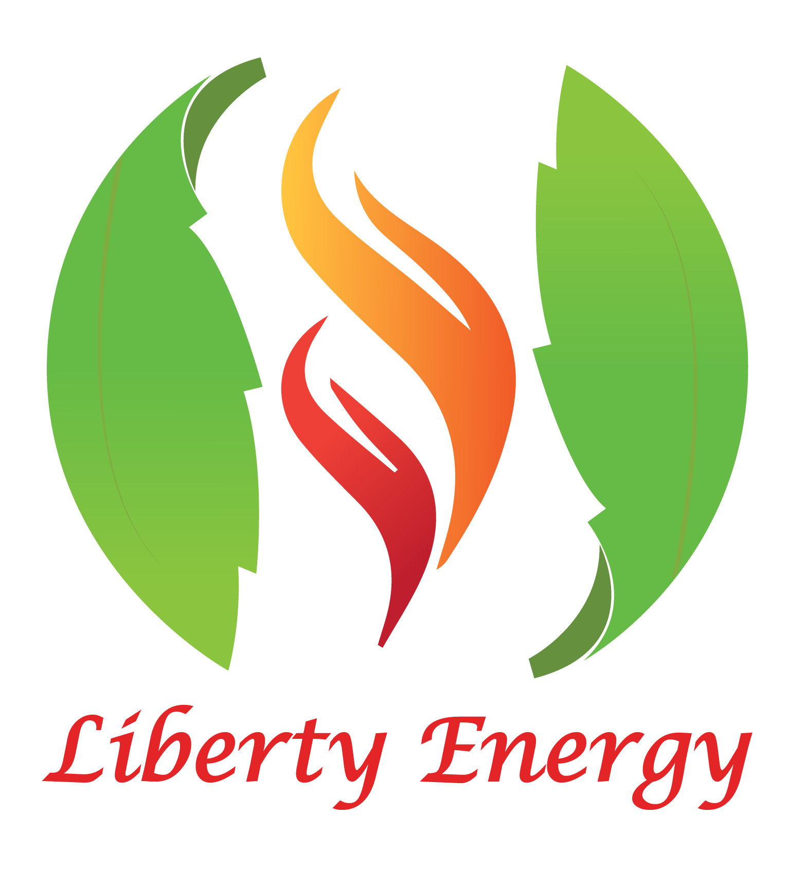 Liberty Energy Group Seamless Project Financing
